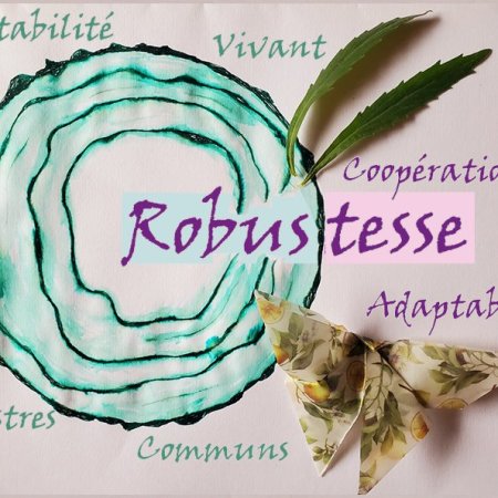 Apprivoiser la robustesse (Bordeaux) 