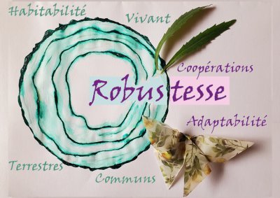 robustesse.jpg