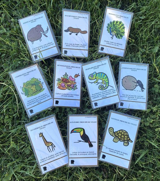 Cartes_vivant_reduit.jpg
