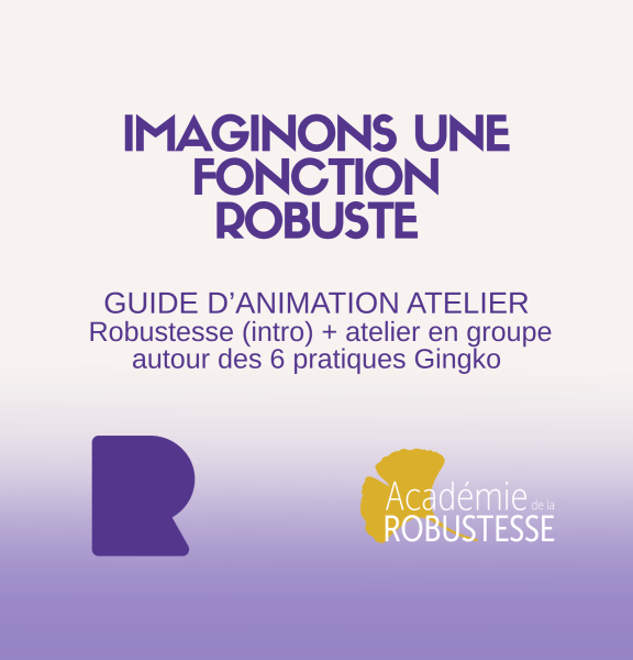 Atelier_prospectif_fonction_visee_robuste.png