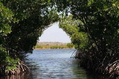 tanjaceverglades73423_1920.jpg