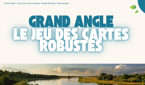 GRAND_ANGLE__JEU_DES_CARTES_ROBUSTES.jpg