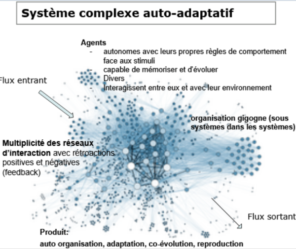 systme_complexe_autoadaptatif.png