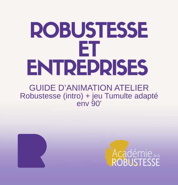 Atelier_robustesse_et_tumulte_adapte_entrepreneurs_larobustesse.org.png