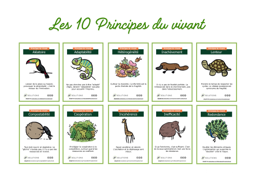 Les_10_Principes_du_vivant.png