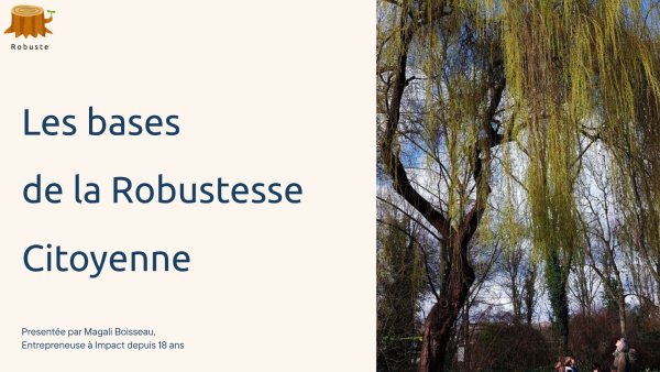 robustesse_citoyenne.jpg