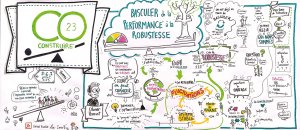 La Robustesse par Innerfrog sur conf d'Olivier Hamant