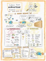 La Robustesse par  Nolwenn COIC sur conf&eacute;rence de Bastien JAKOBIAK