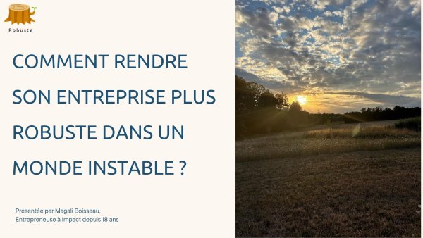 COMMENT_RENDRE_SON_ENTREPRISE_PLUS_ROBUSTE_DANS_UN_MONDE_INSTABLE_.jpg