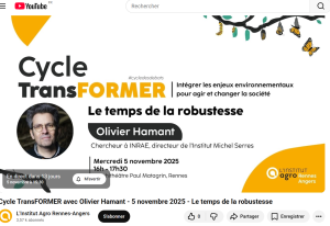 affiche