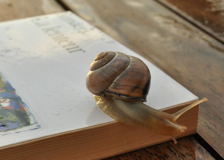 lenteur